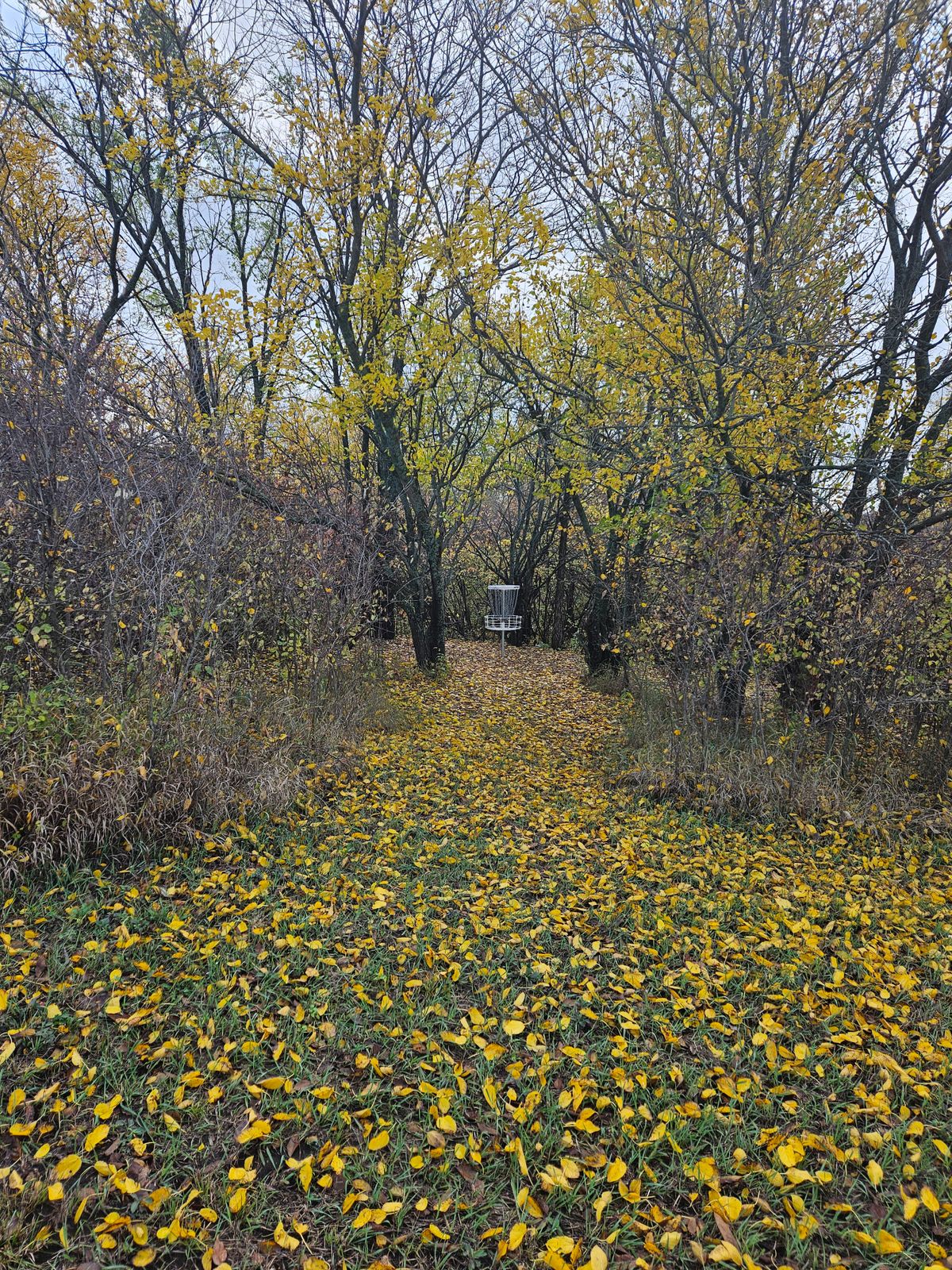 Path to the B placement at 6 & 15.