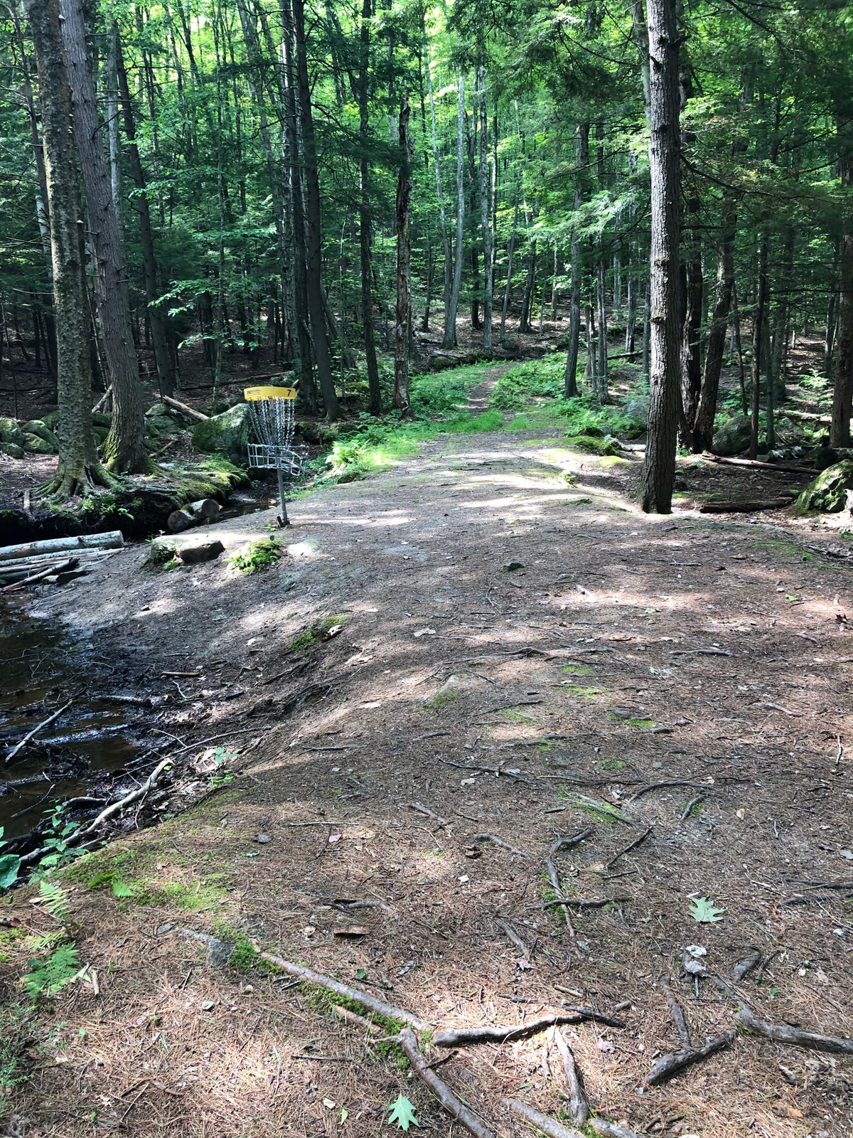 Green of Hole 7