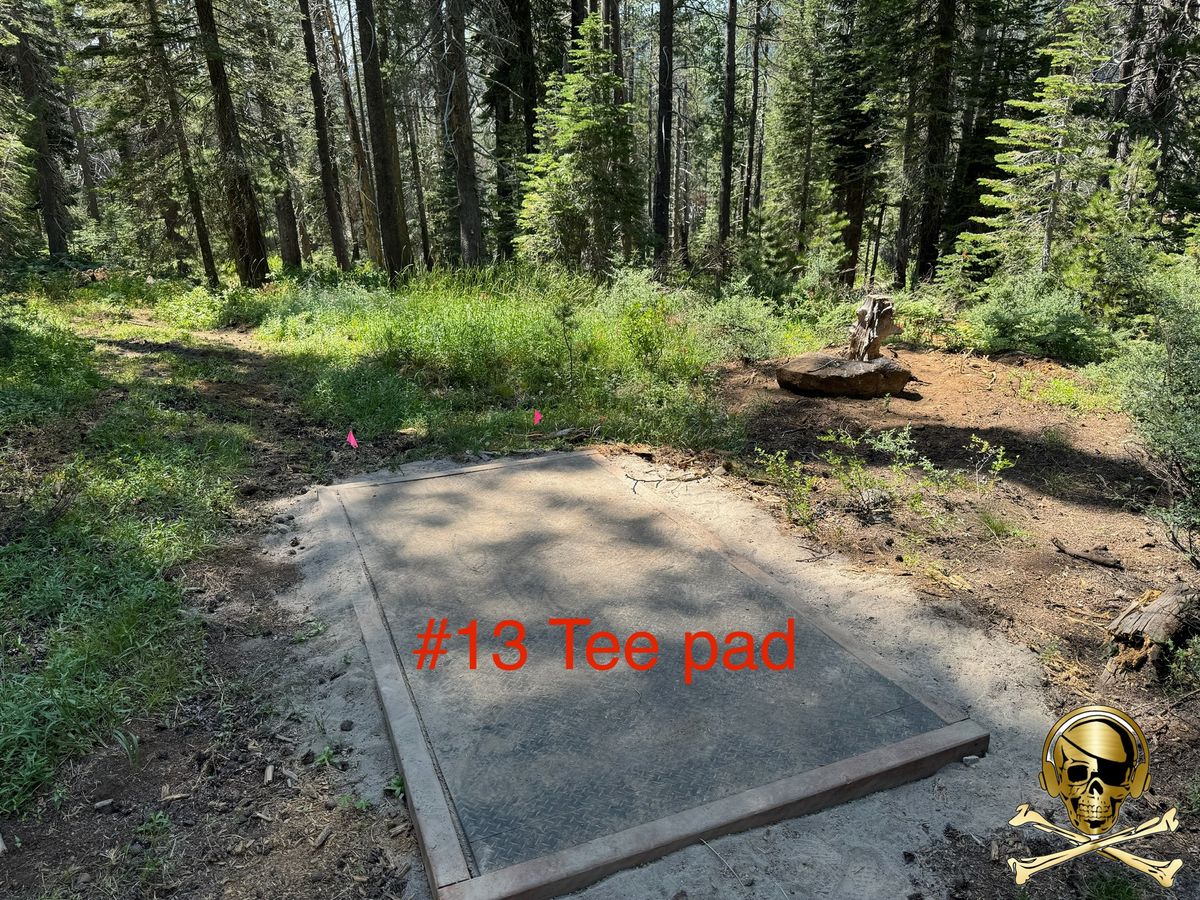 Tee pad for 13!  Brand new!
