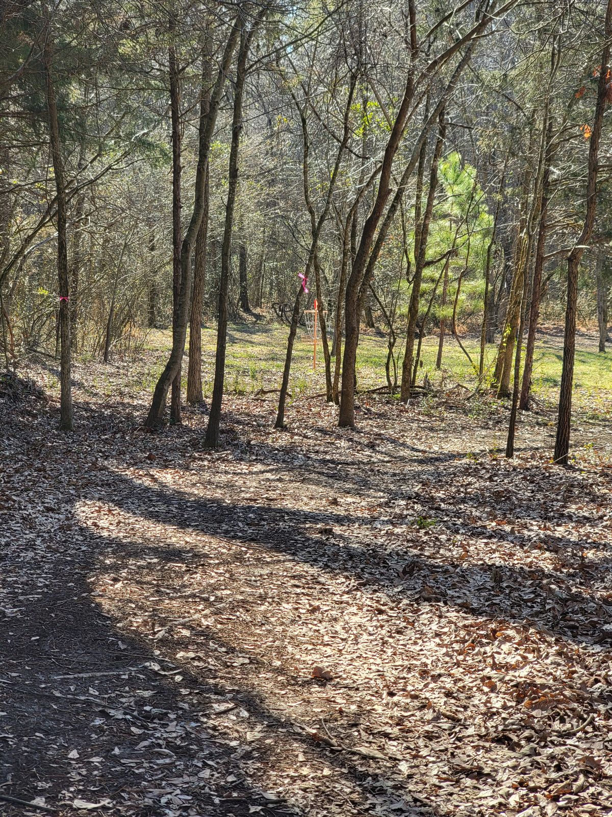 Hole 4 basket from the fairway