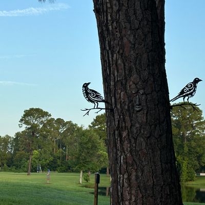 Odin’s Ravens, Munnin and Huginn