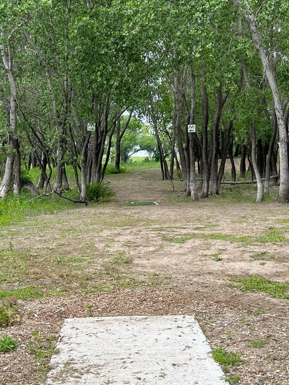Hole 11