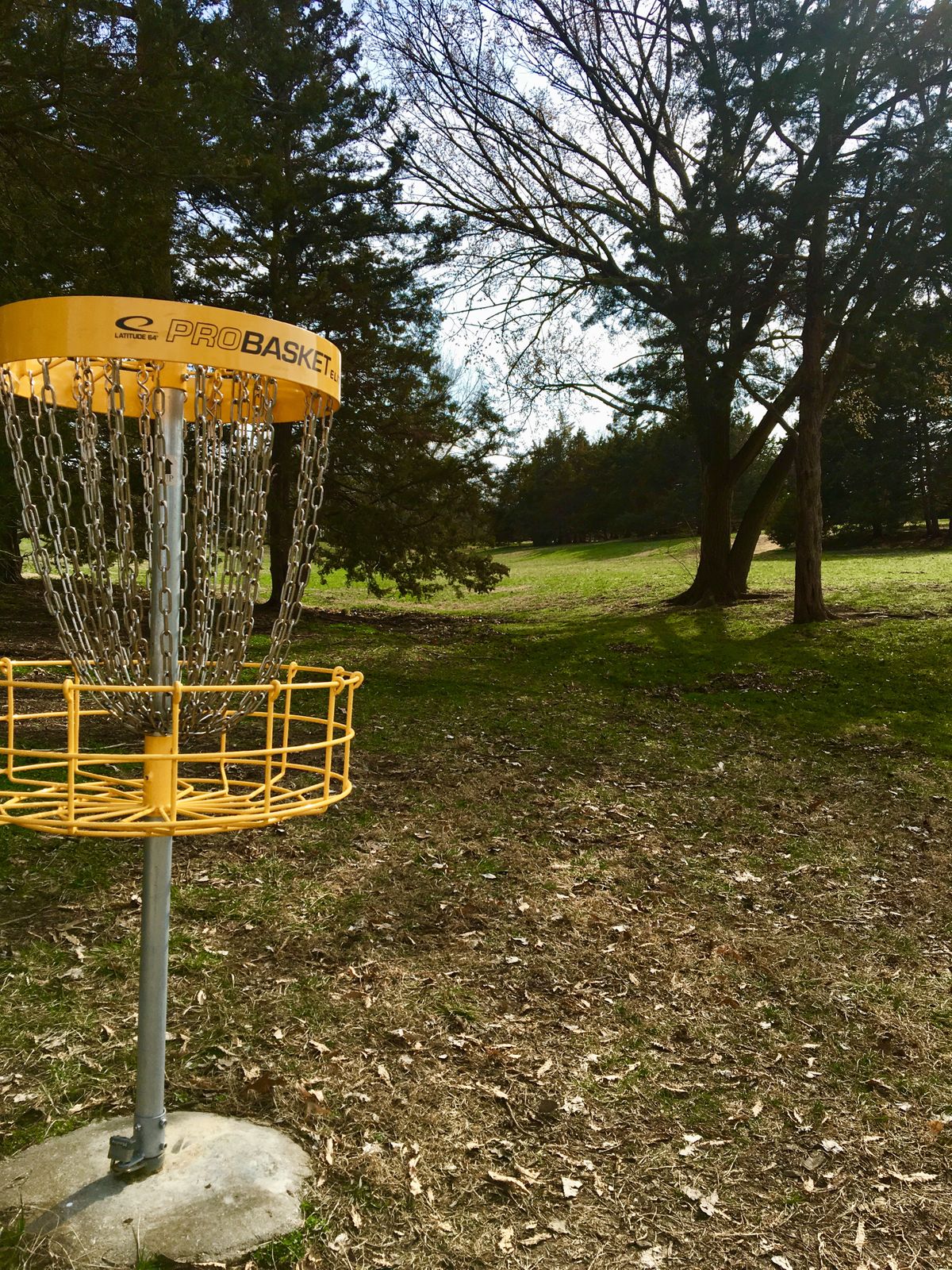 Hole 1 Basket to Tee