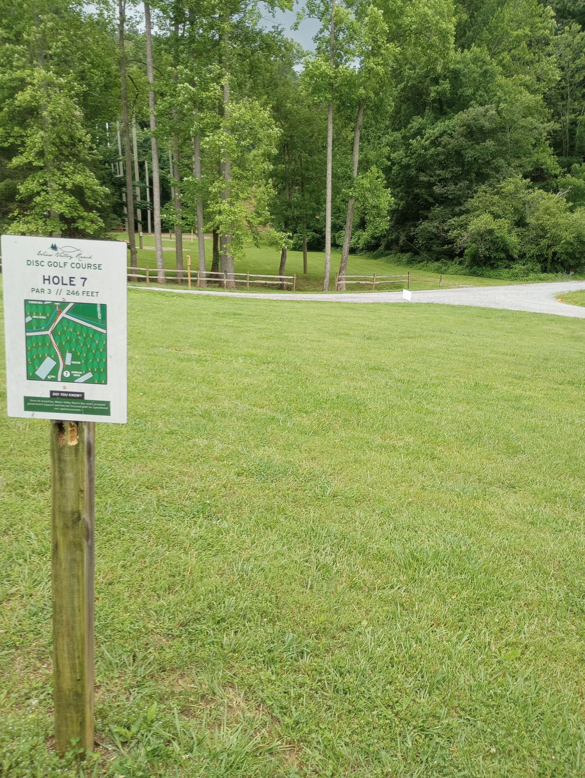 Hole 7