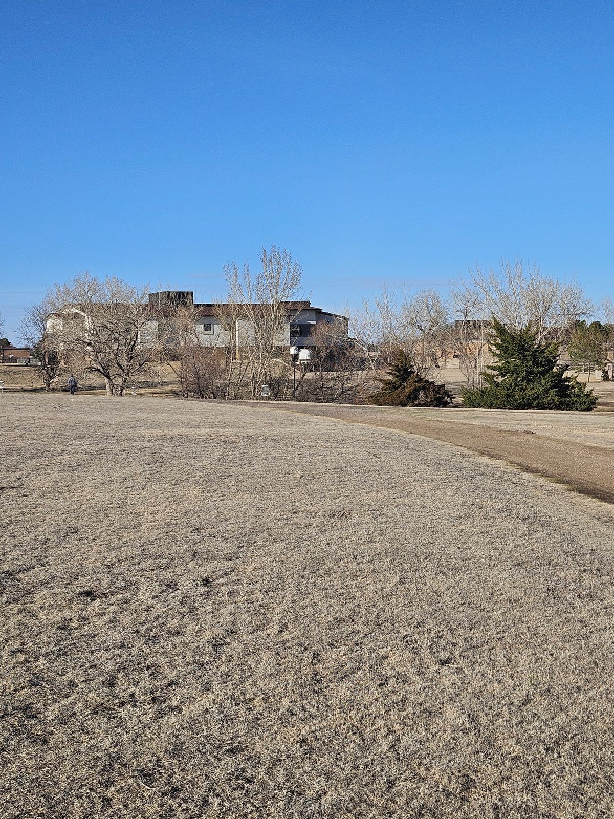 Standing on tee #6