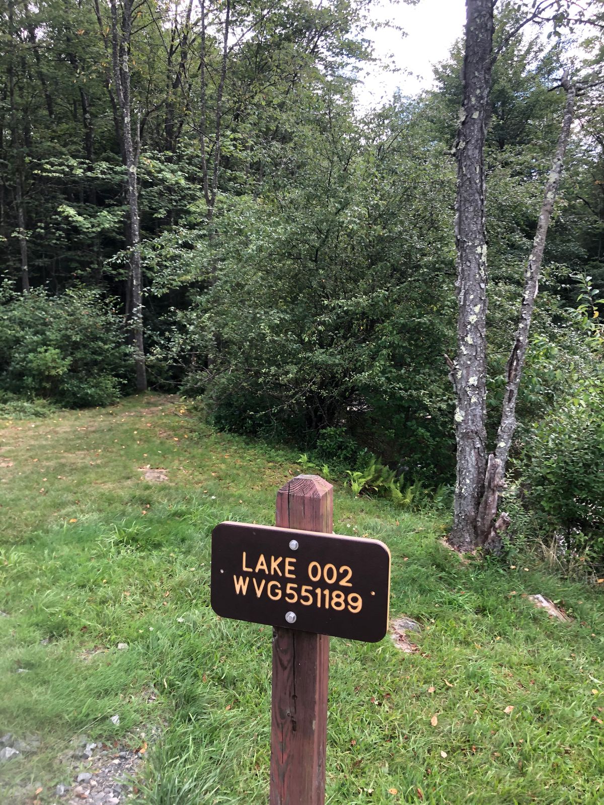 There’s a waterfall down this trail a few hundred yards. 
It’s below the dam on hole 18!