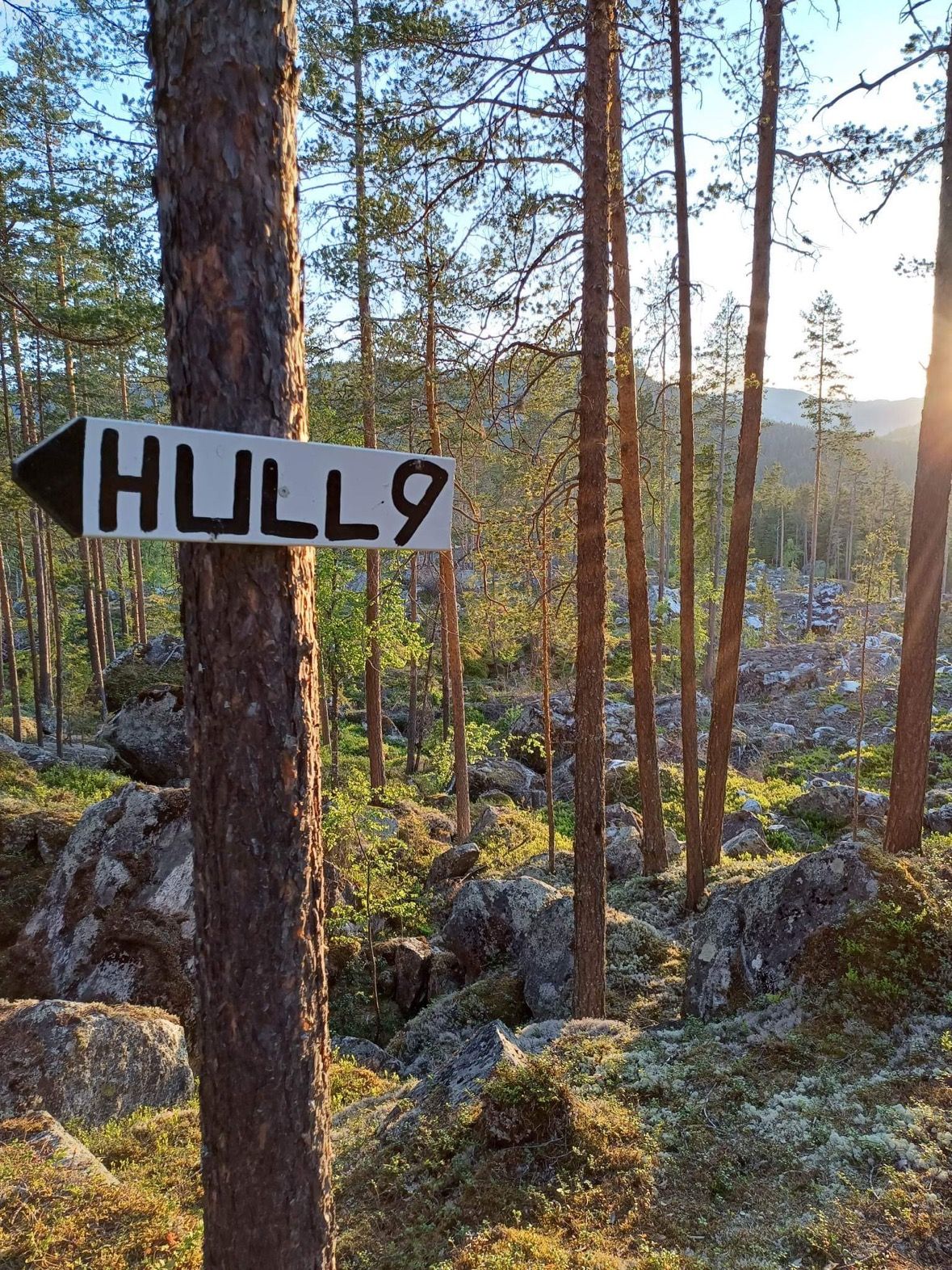 Midlertidige skilt