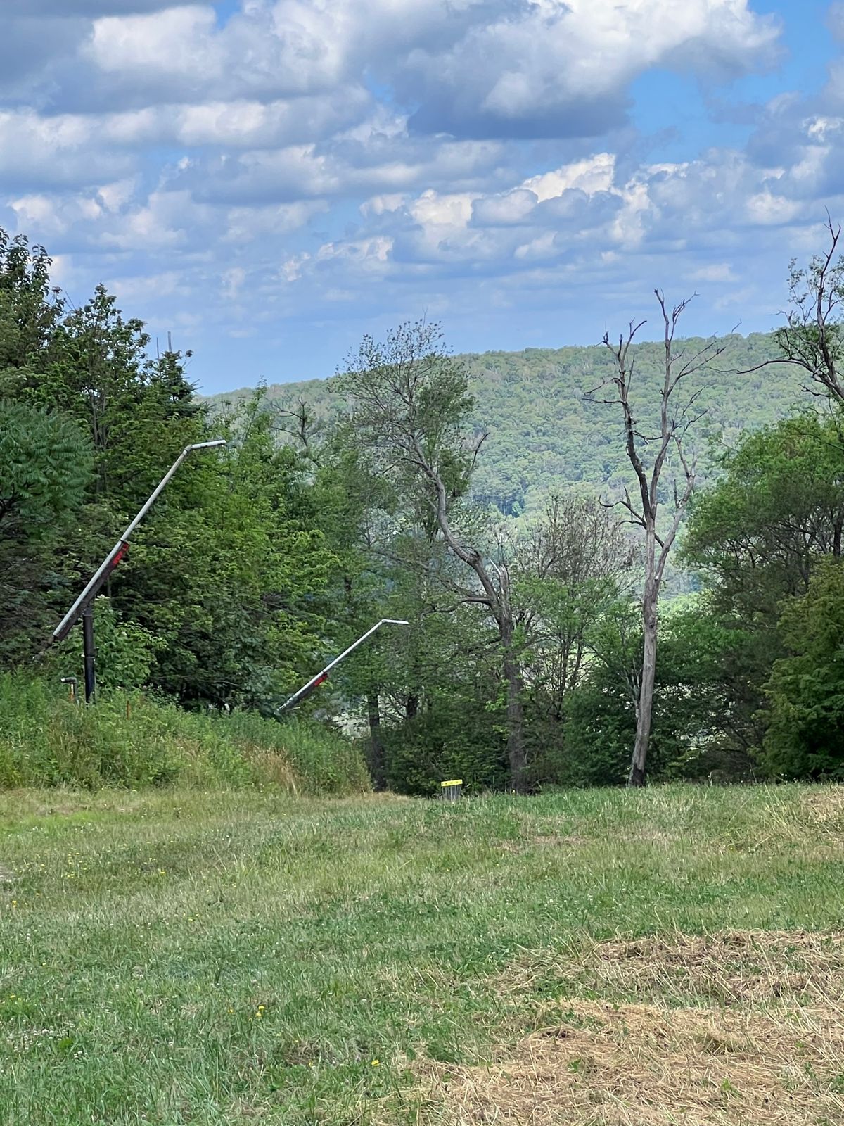 Hole 4 basket