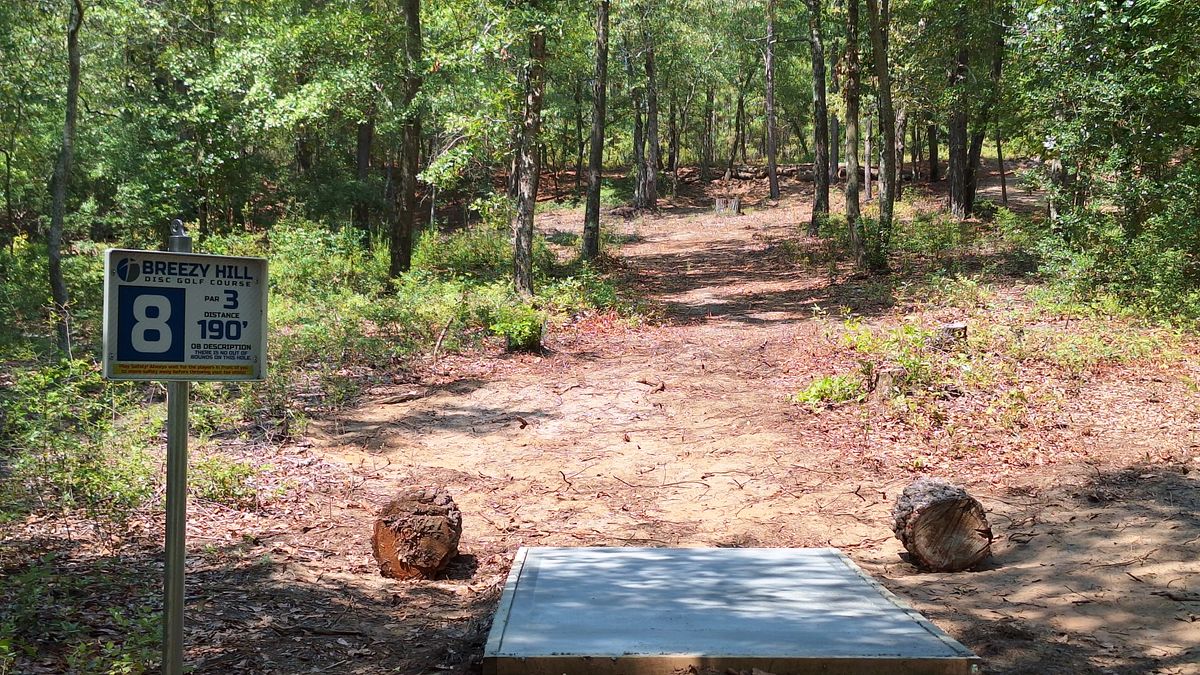 Hole #8 tee