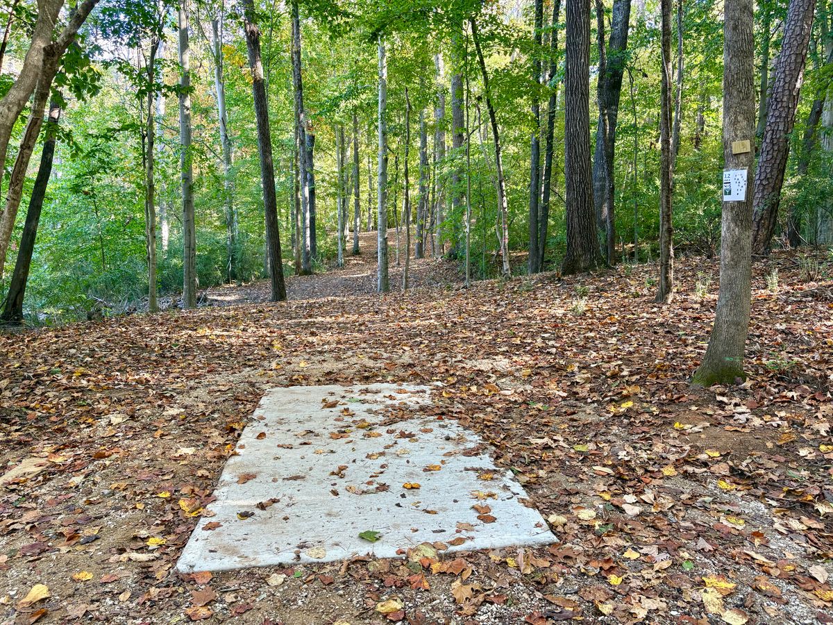 Hole 12 tee