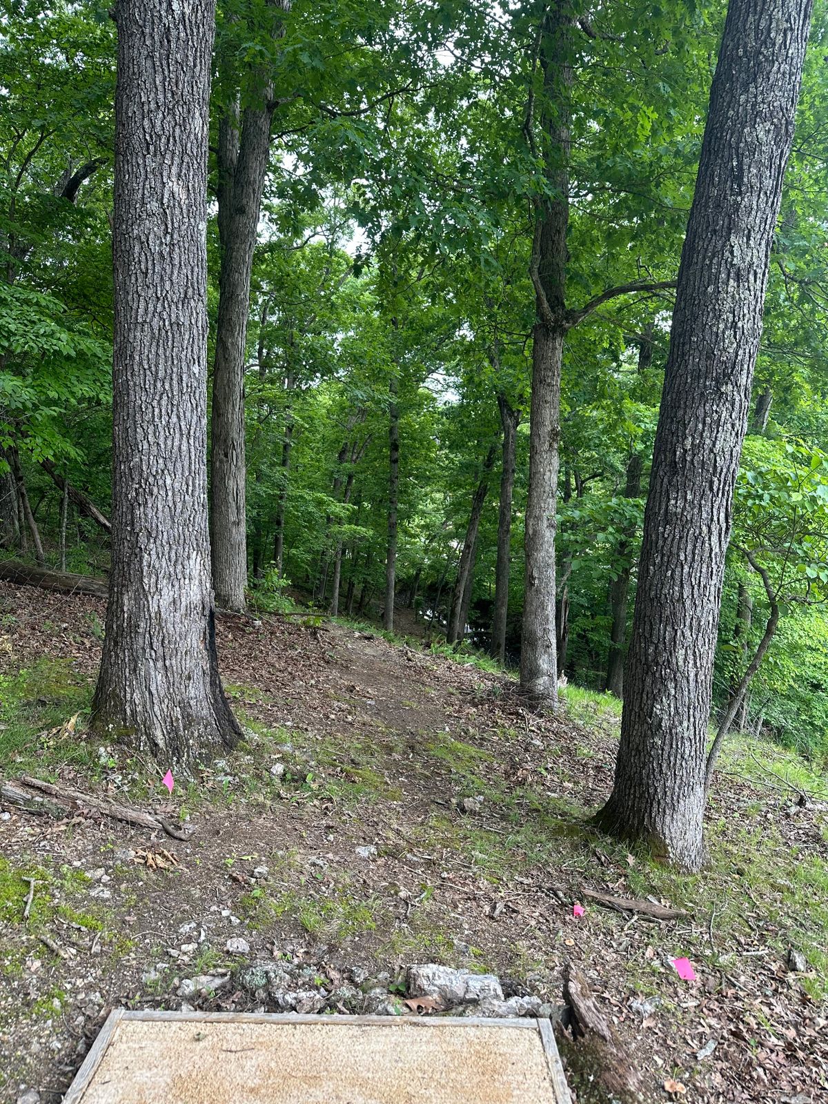 Hole 2 tee