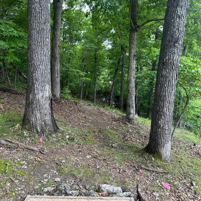 Hole 2 tee