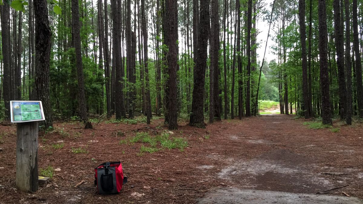 Hole 10
