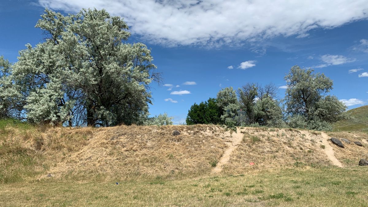 Hole 4