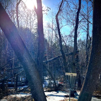 Even Par thrown on this backwoods hole