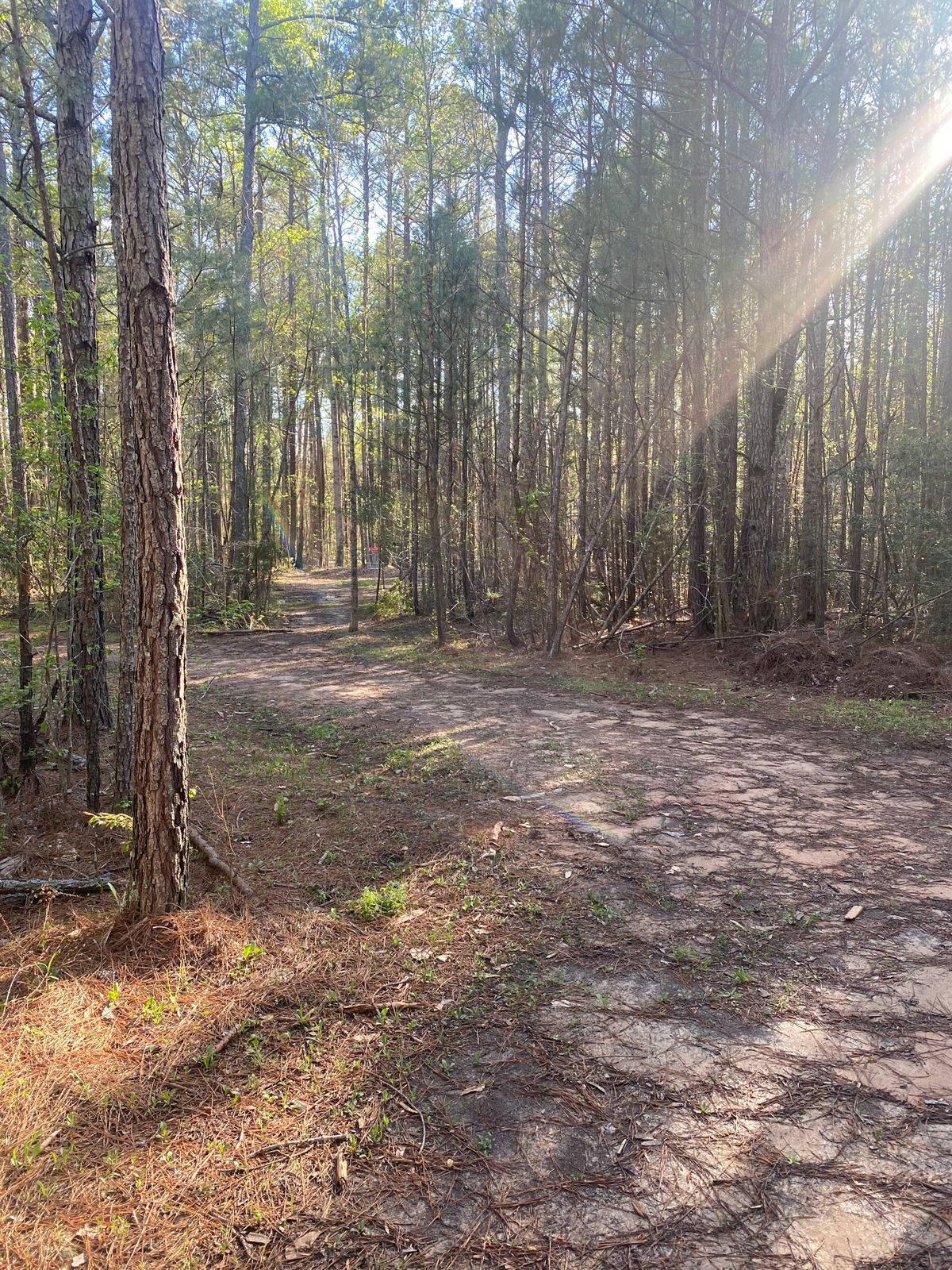Path to 8