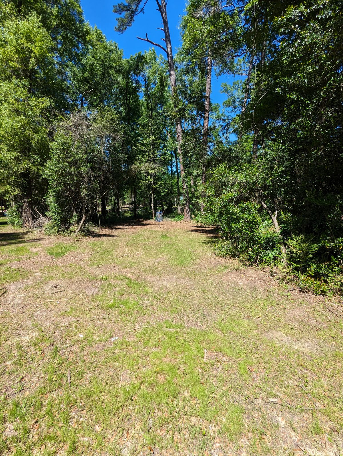 Hole 7 B Pin Location