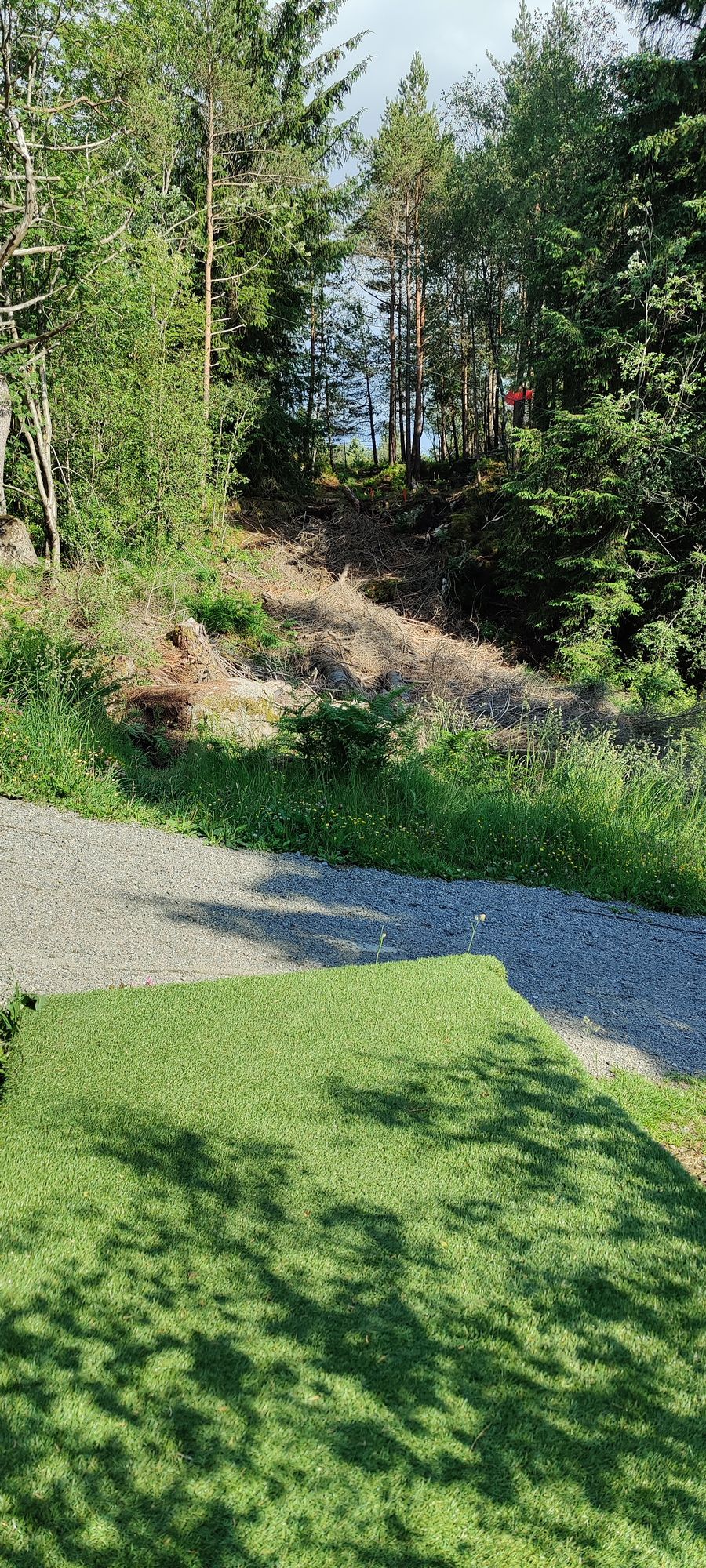 Tee hole 5