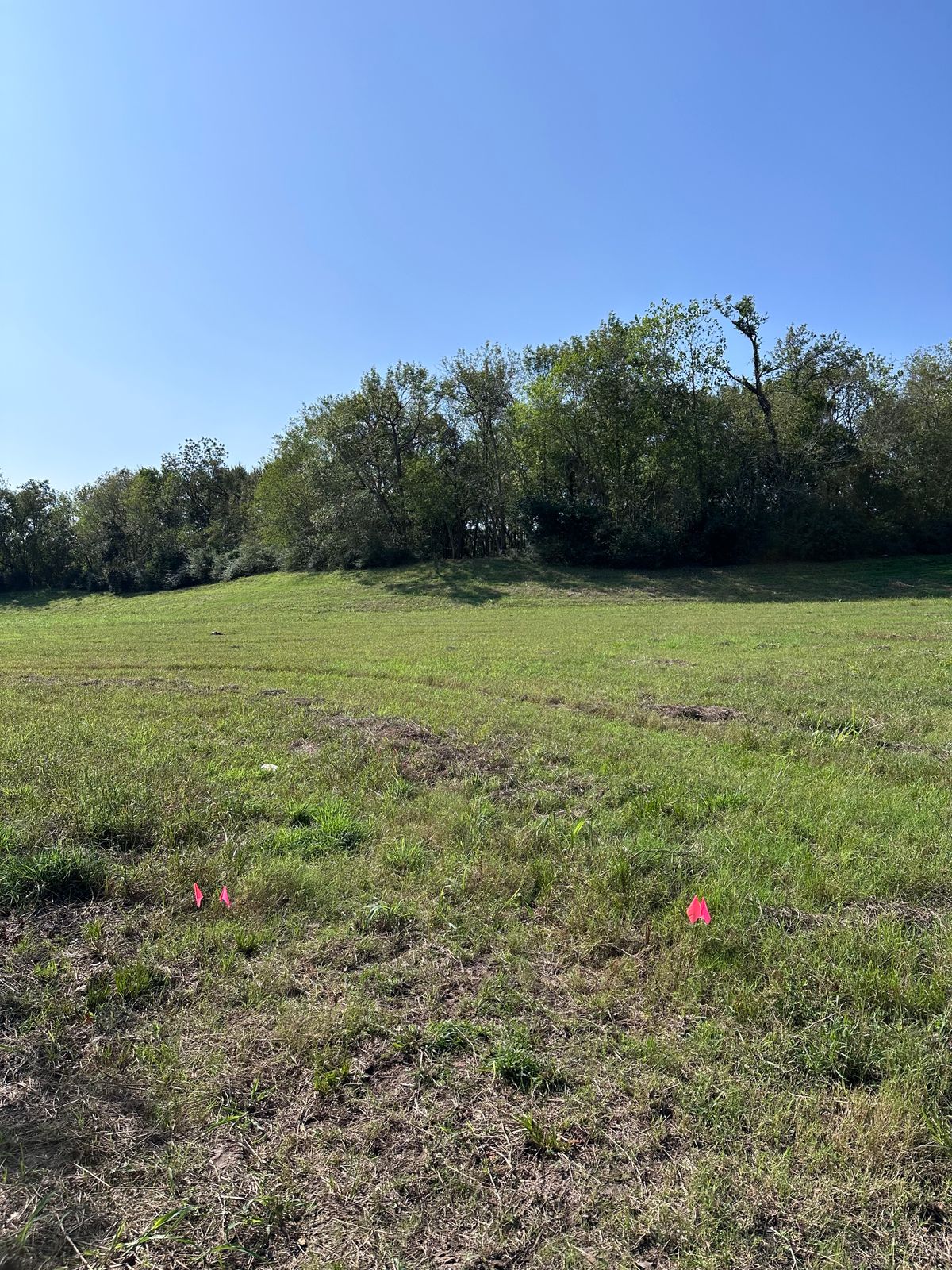 Hole 13 tee
