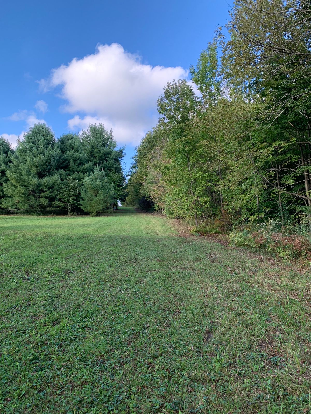Hole 9