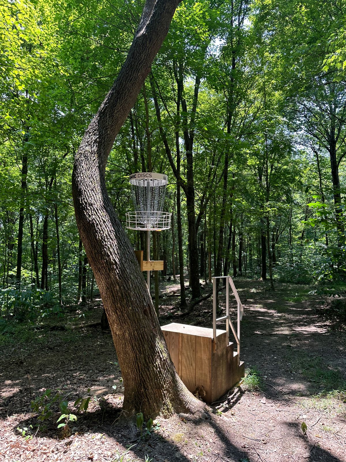 Unique Hole!