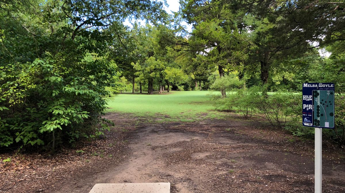 Hole 3a