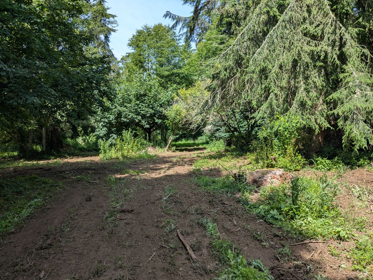 Hole 5 approach