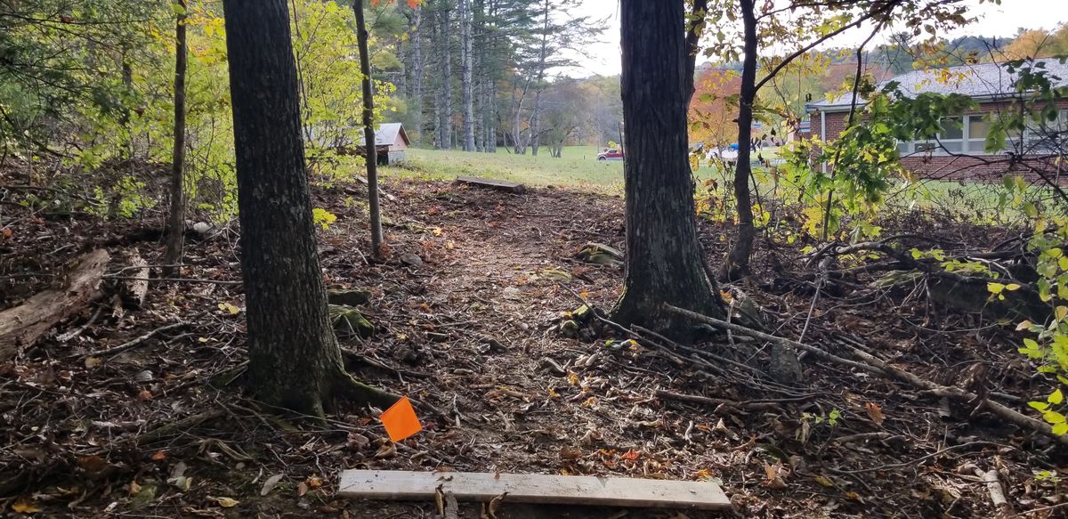 Hole 12 tee