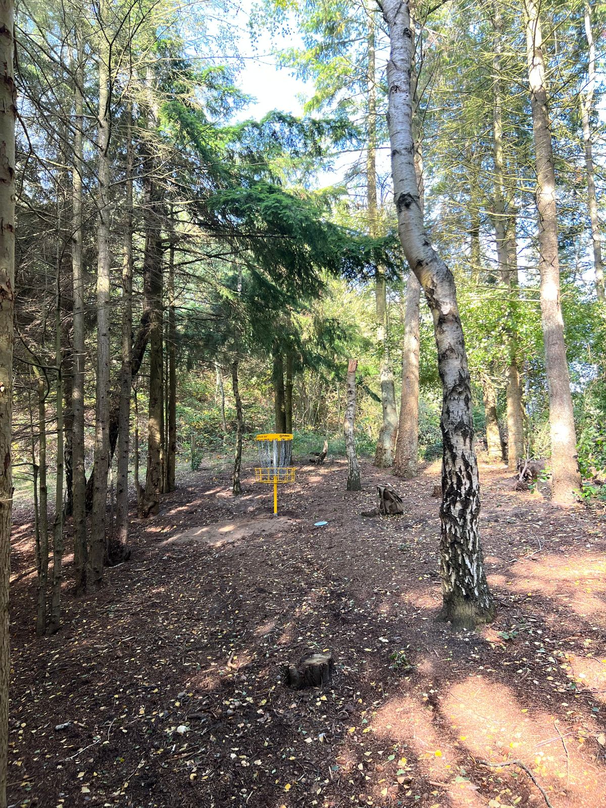 Green på hul 3