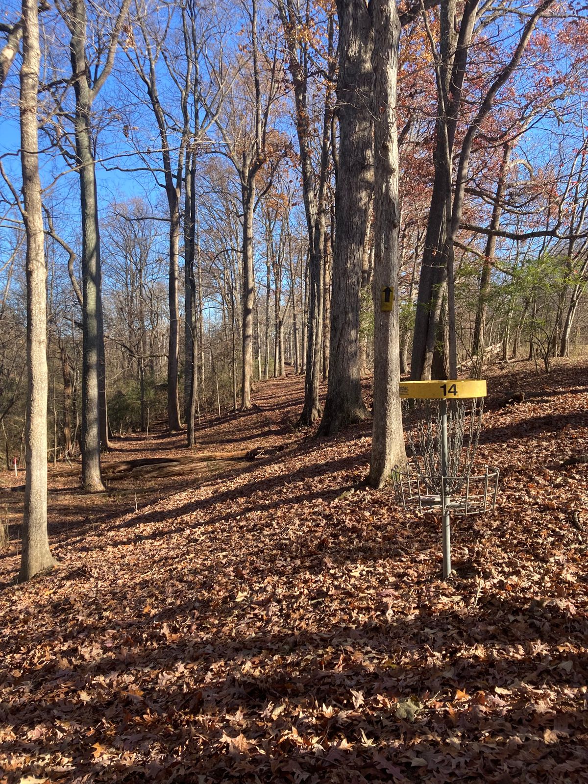 Hole 4 Green