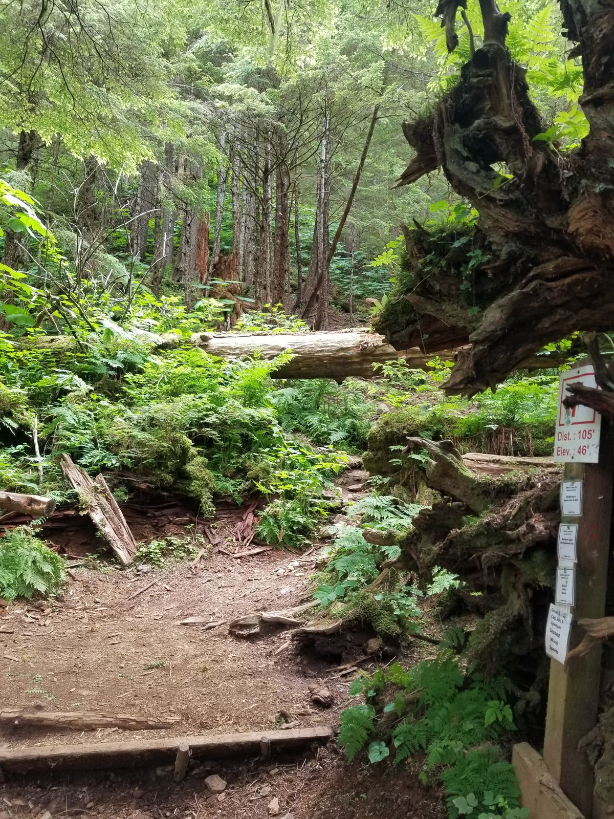 Hole 7