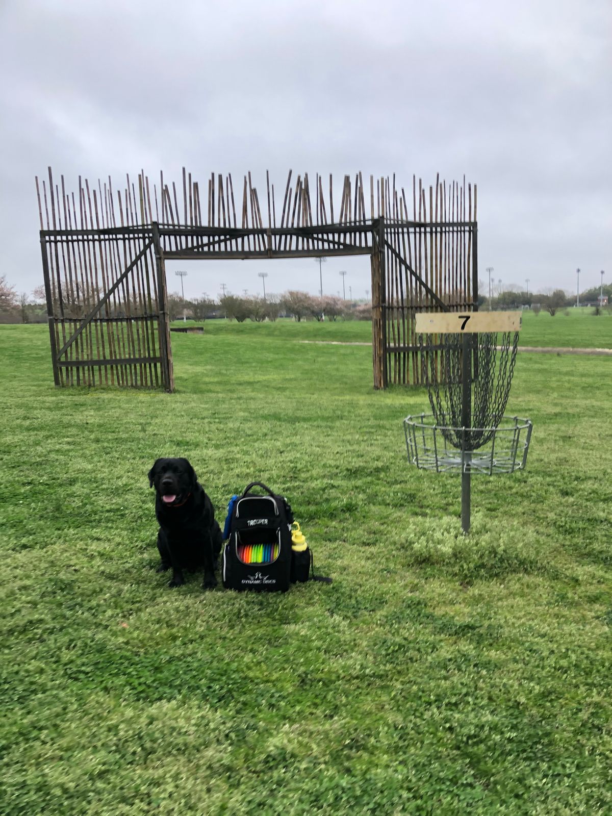 Iconic hole #7