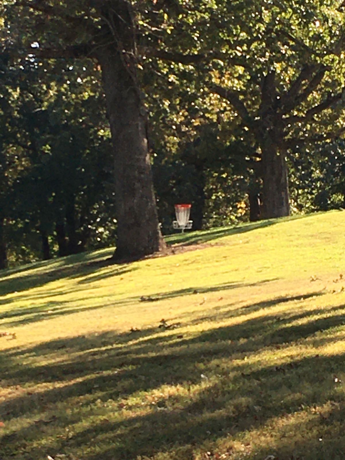 Hole 13 Basket