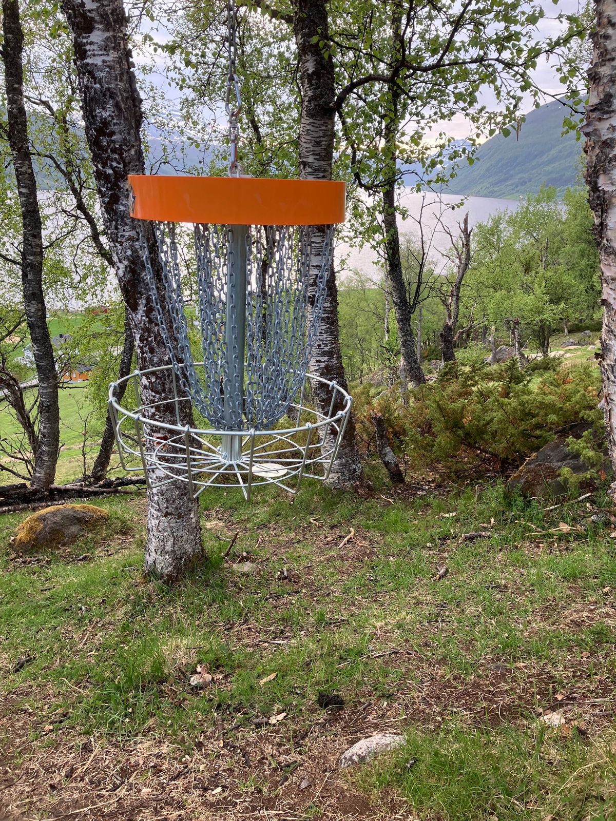 Kurv 14. Flying basket!