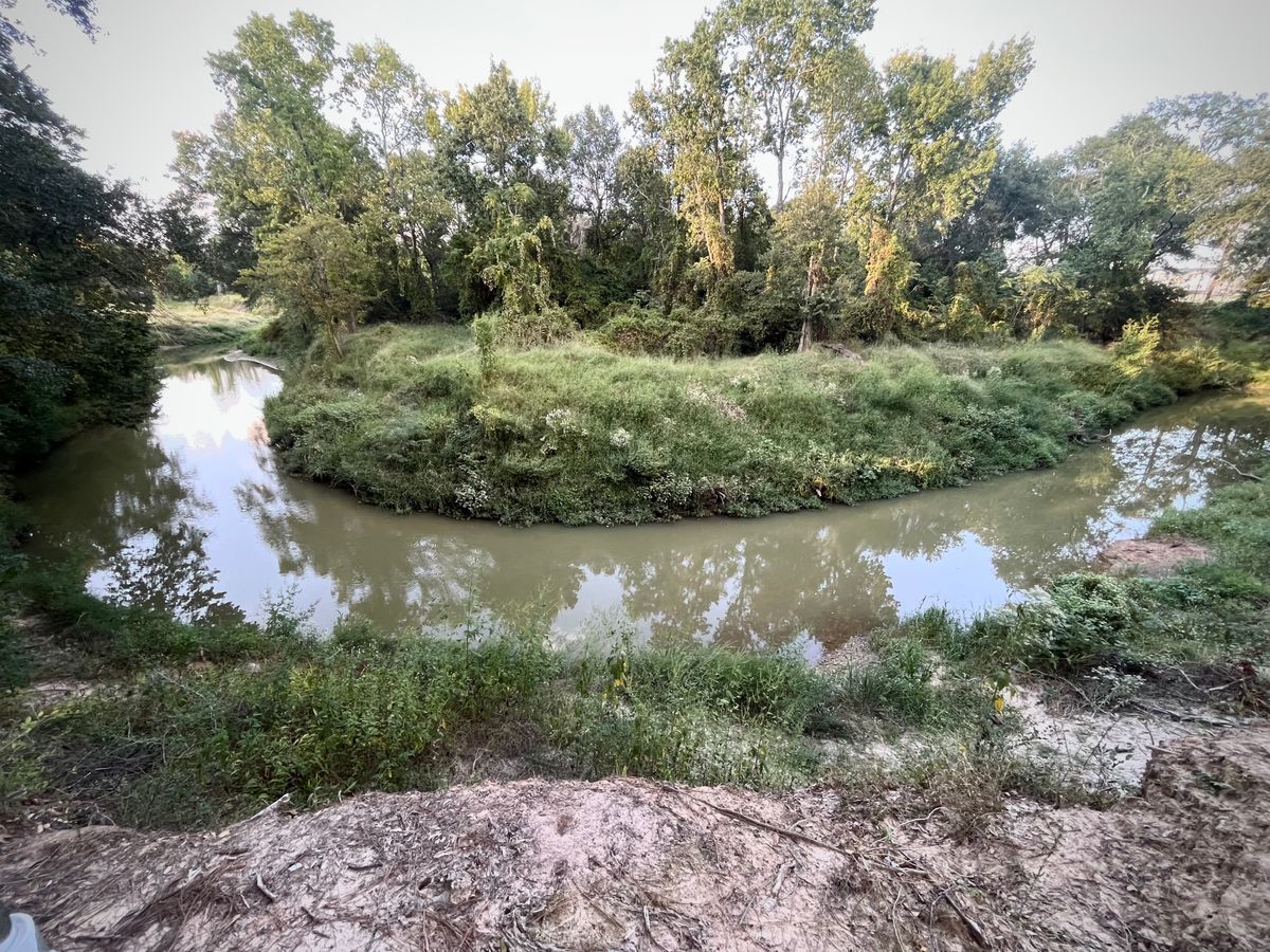 Left of hole 13