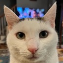 User avatar image