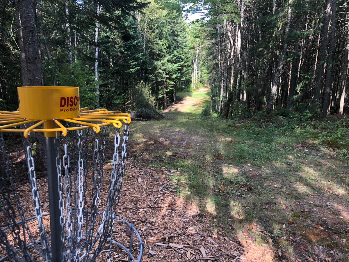 Hole #10 Basket