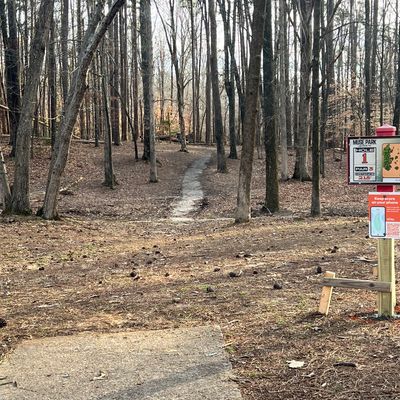 Updated tee sign and cleaned fairway.