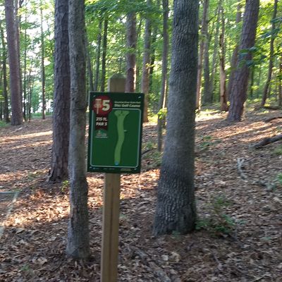Hole #5. Par 3 - 275 Feet. Straight shot downhill. Caution, you must back track the fairway to get to hole six.