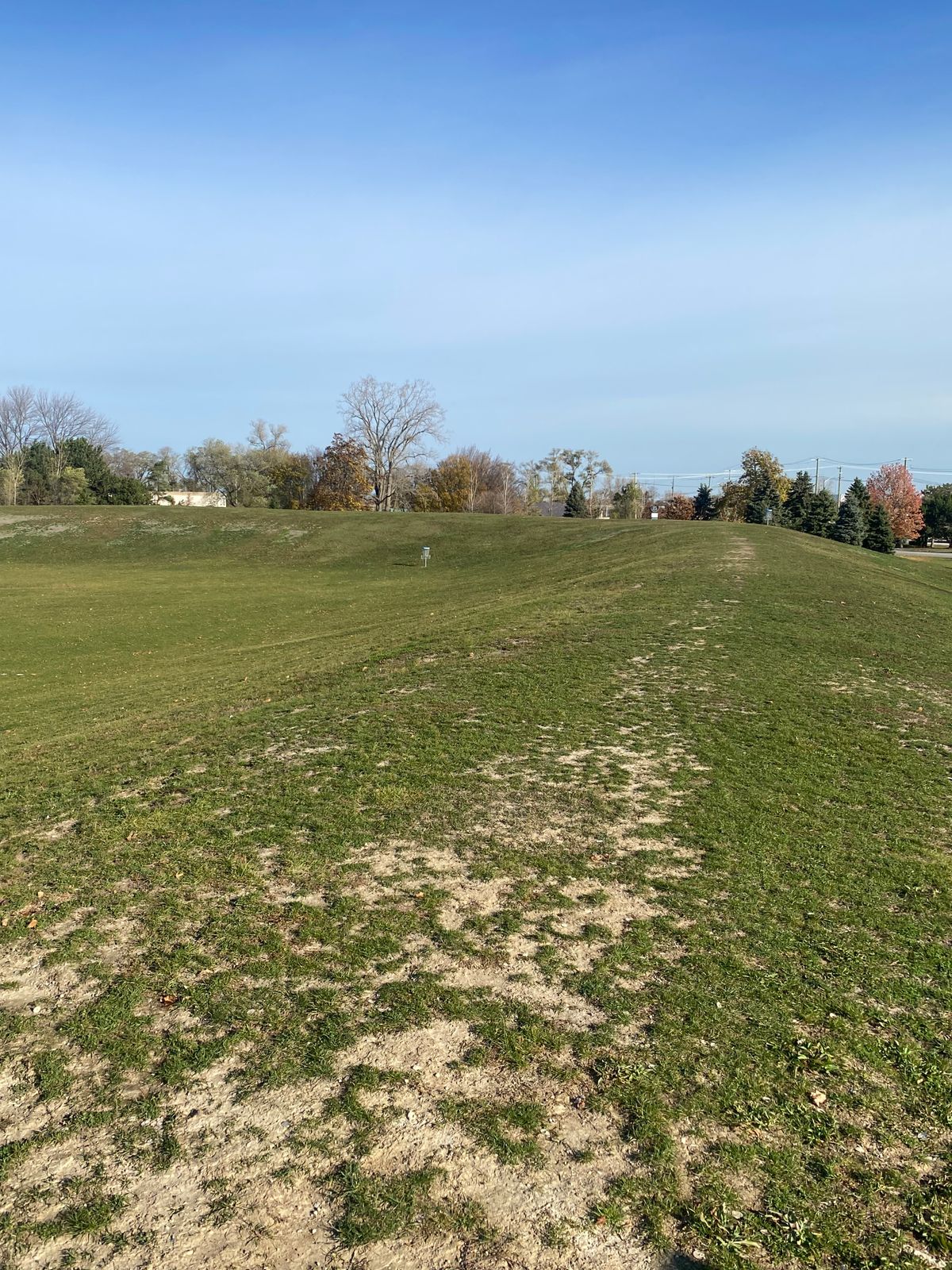 #4 short tee