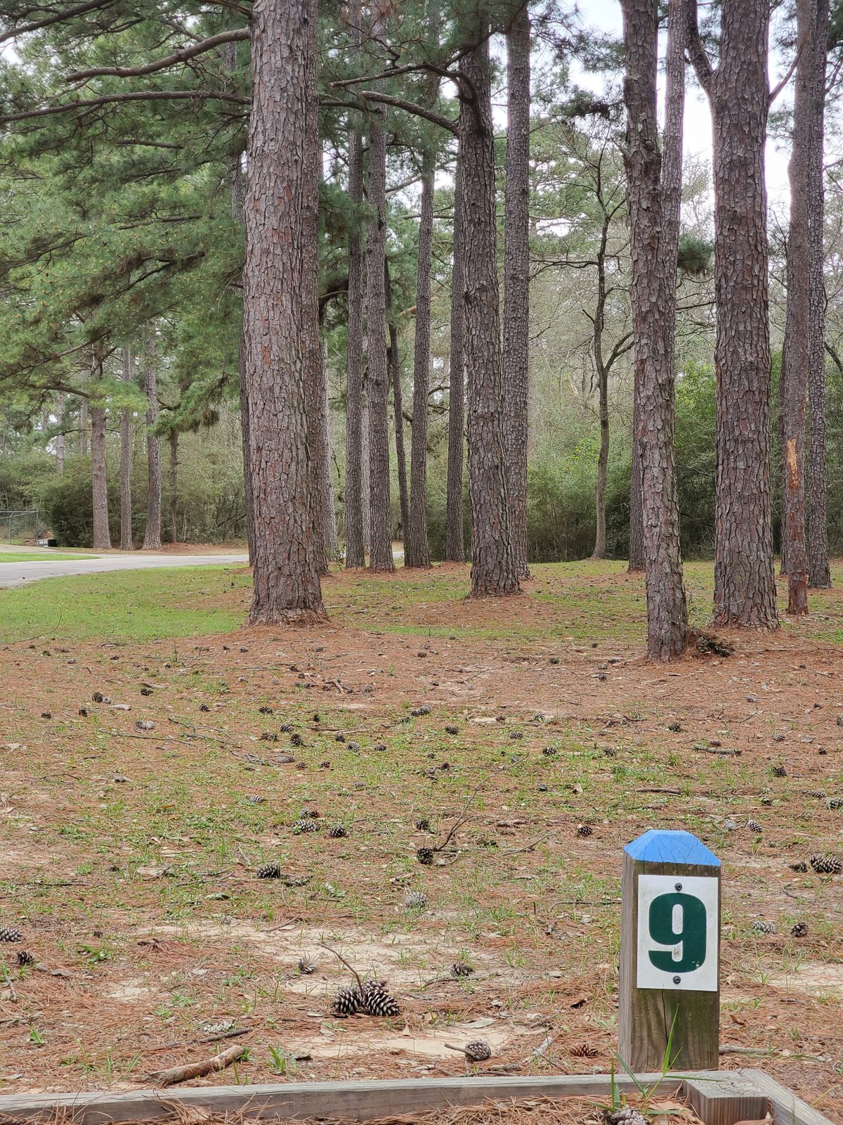 Hole 9 blue tee
