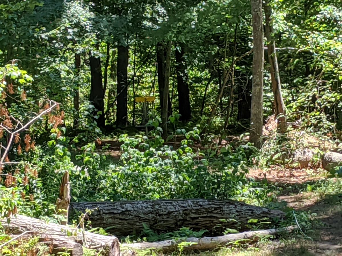 Hole 5