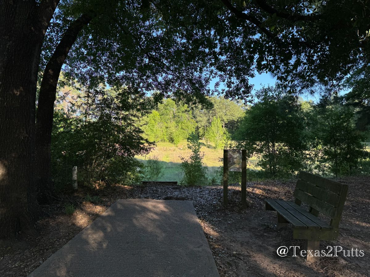 Hole 4