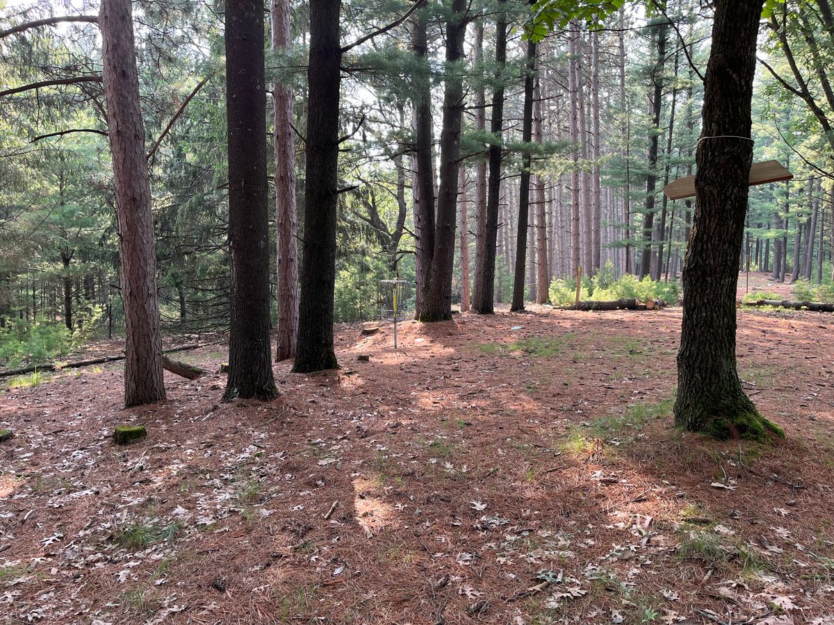 Hole 1 approach