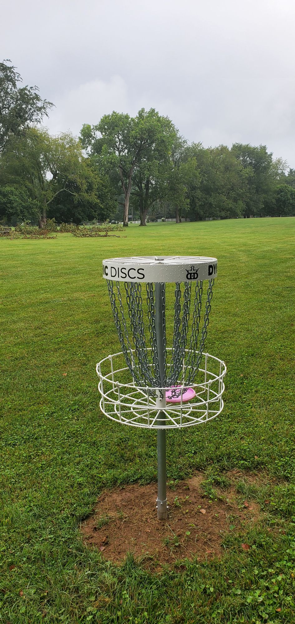 Hole 3 basket looking back at tee