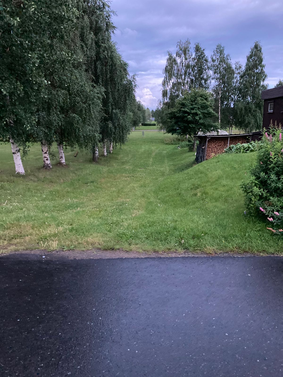 Tee 7