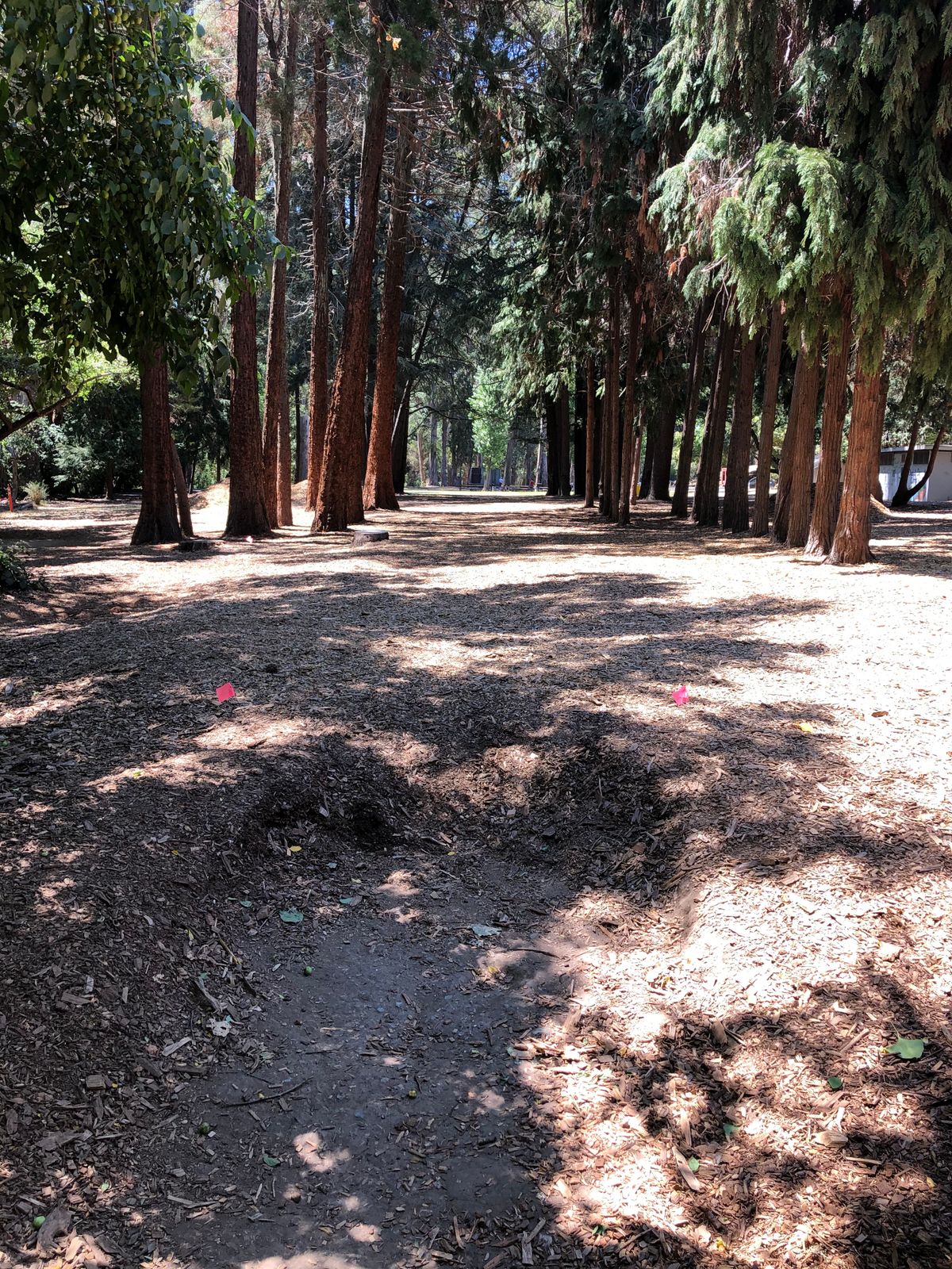 Tee Box at #6