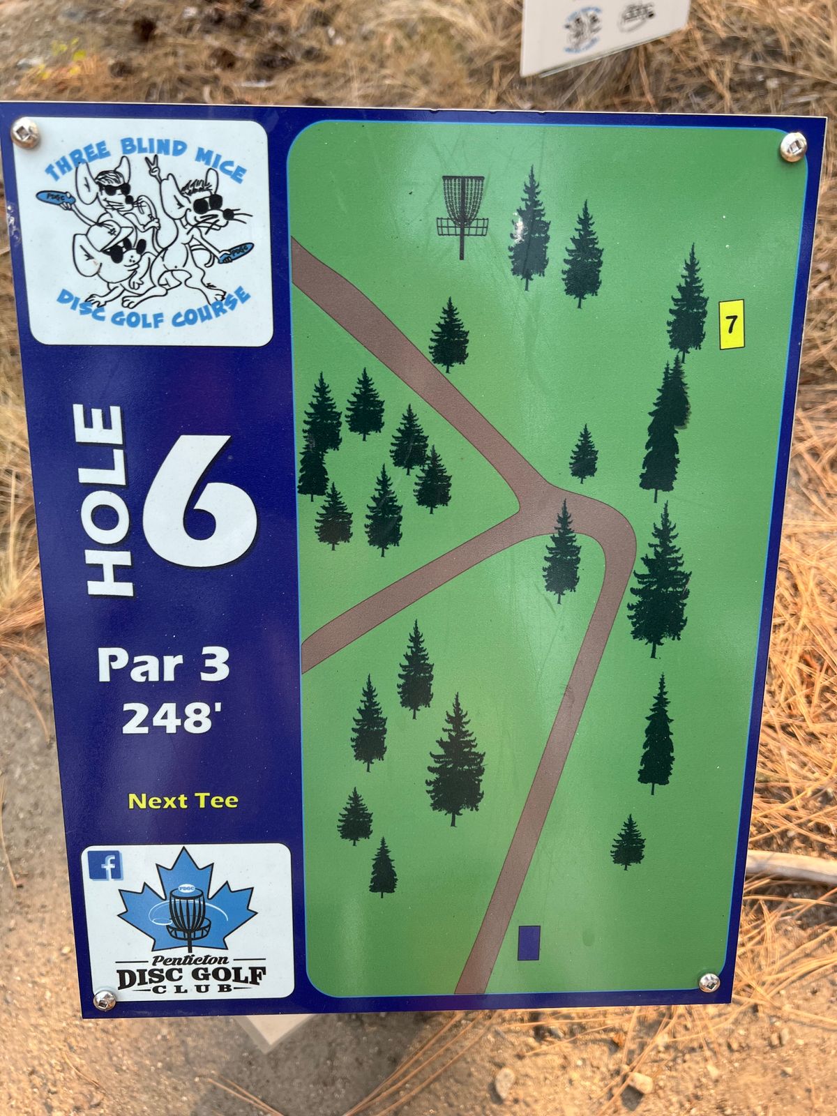 Hole 6