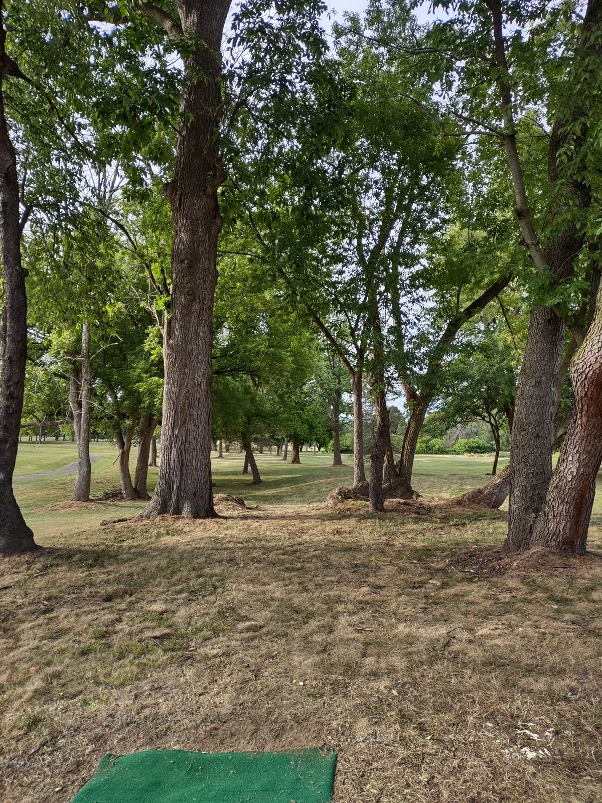 Hole 1 tee
