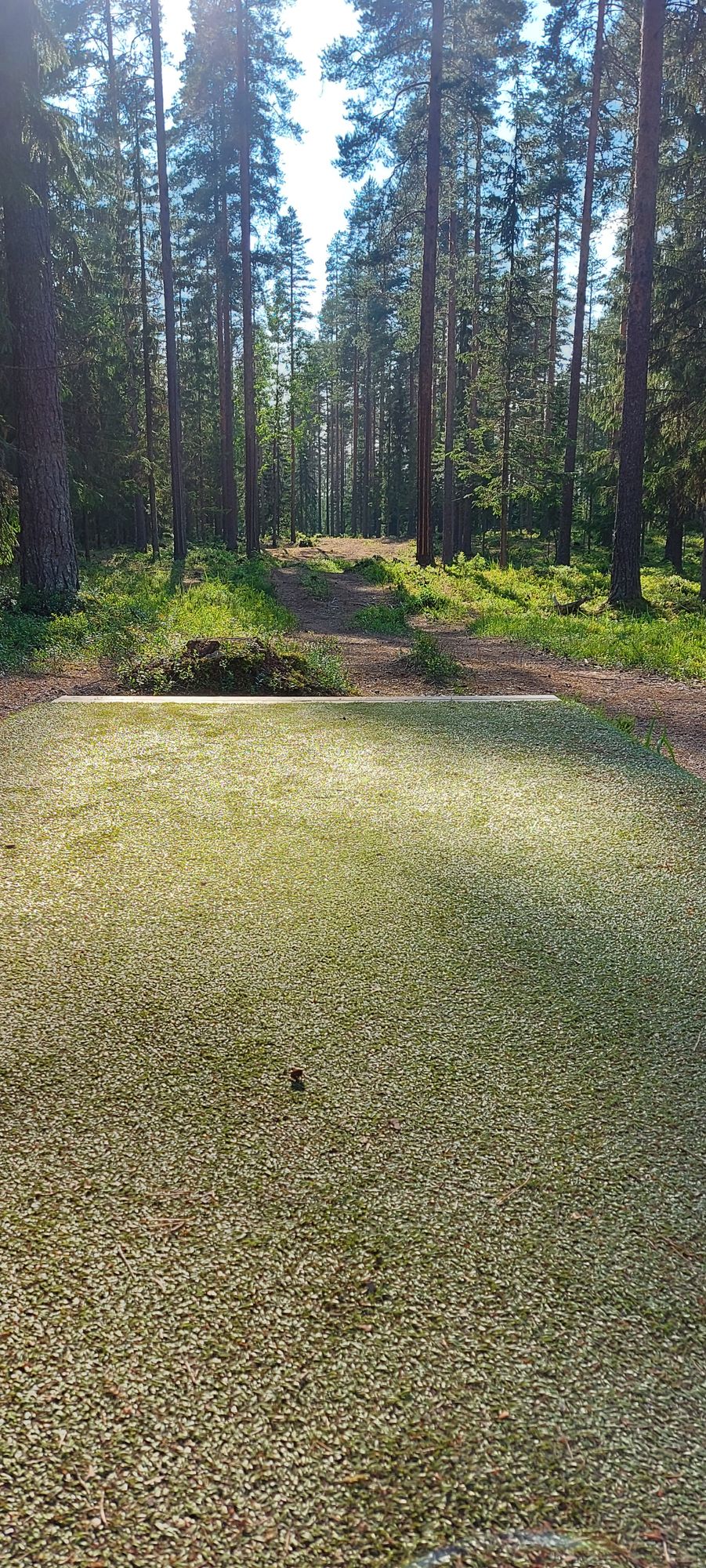 Tarinalaakso New Course tee 15